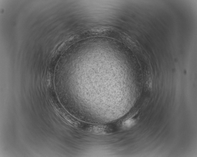 X0000055990758200509021638