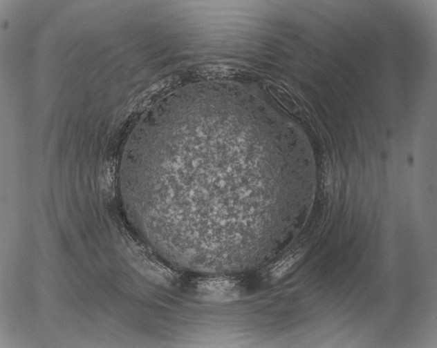 X0000055990759200509021638