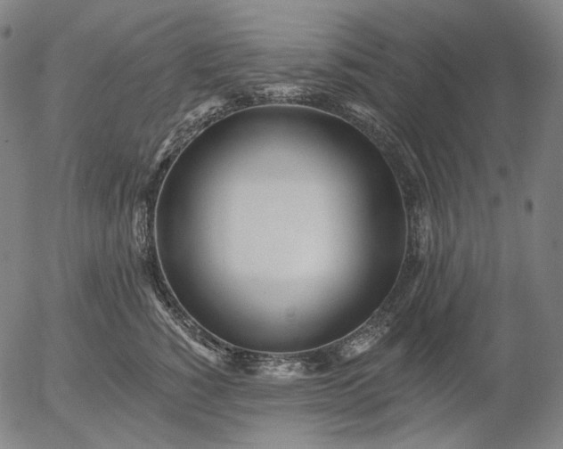 X0000055990760200509021638