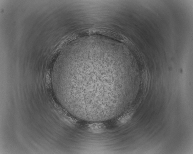 X0000055990761200509021638