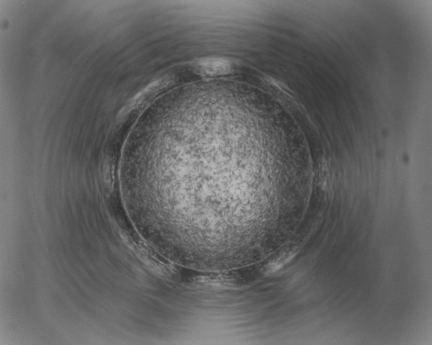 X0000055990763200509021638