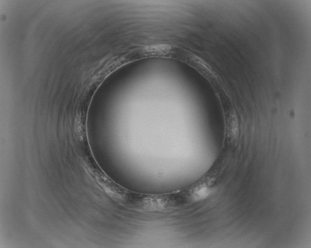 X0000055990764200509021638