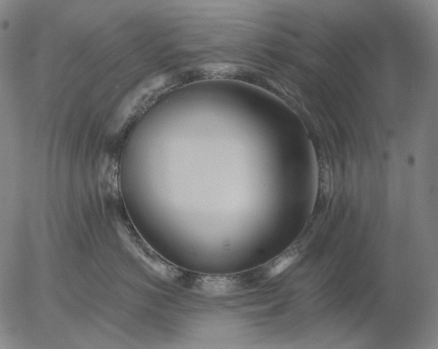 X0000055990766200509021638