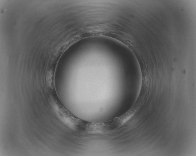 X0000055990767200509021638