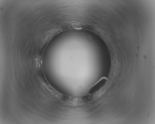 X0000055990768200509021638