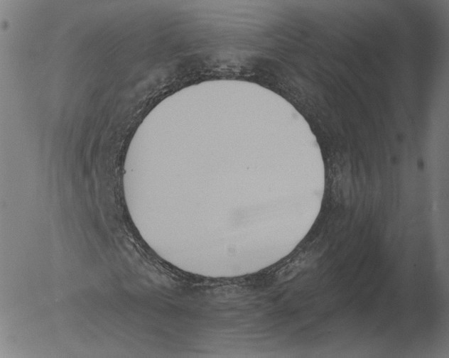 X0000055990769200509021637