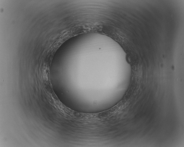 X0000055990770200509021637