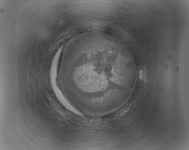 X0000055990771200509021637