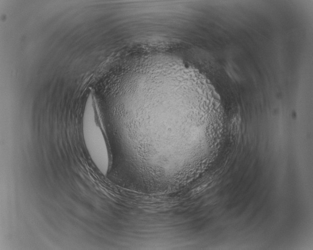 X0000055990772200509021637