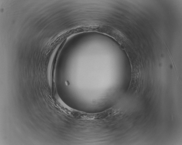 X0000055990773200509021637