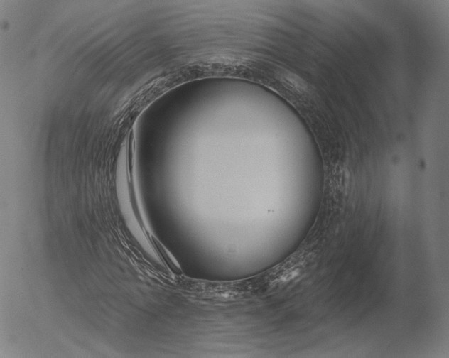 X0000055990774200509021637