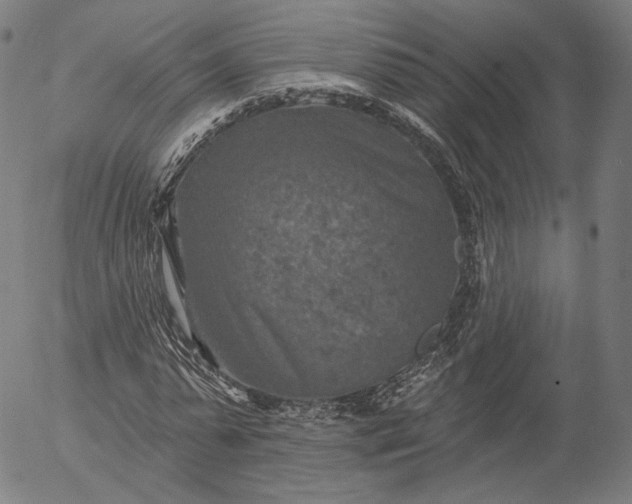 X0000055990775200509021637