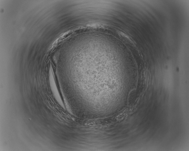 X0000055990776200509021637