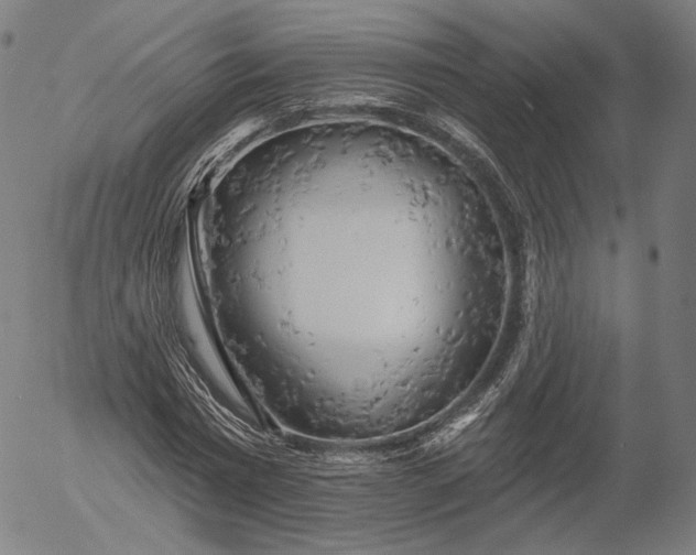 X0000055990777200509021637