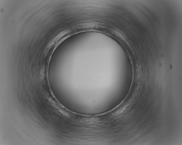 X0000055990778200509021637