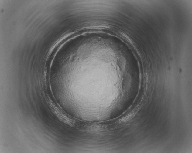 X0000055990779200509021637