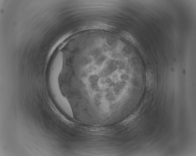 X0000055990780200509021637