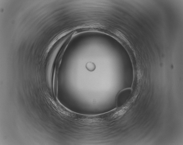 X0000055990781200509021637