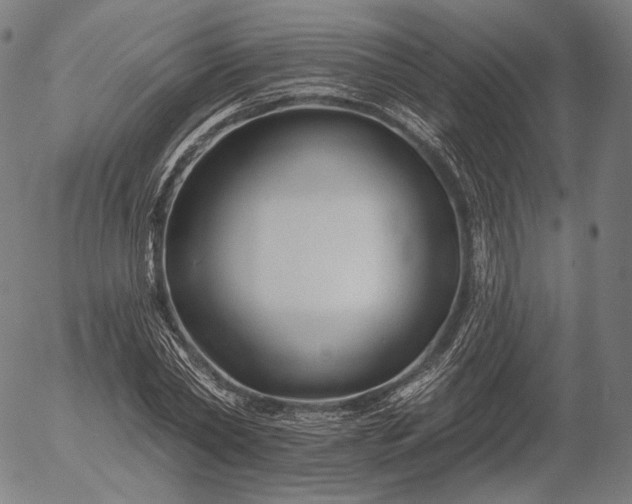 X0000055990782200509021637