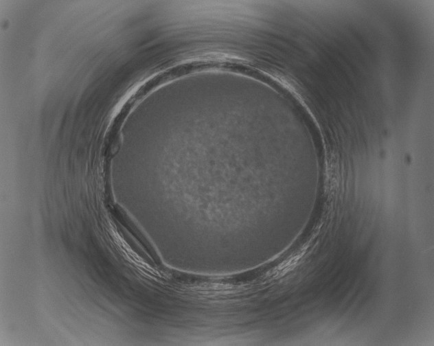 X0000055990783200509021637