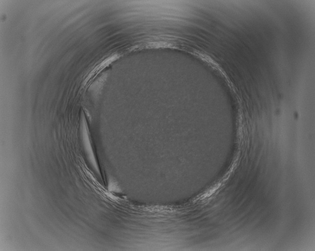 X0000055990785200509021637