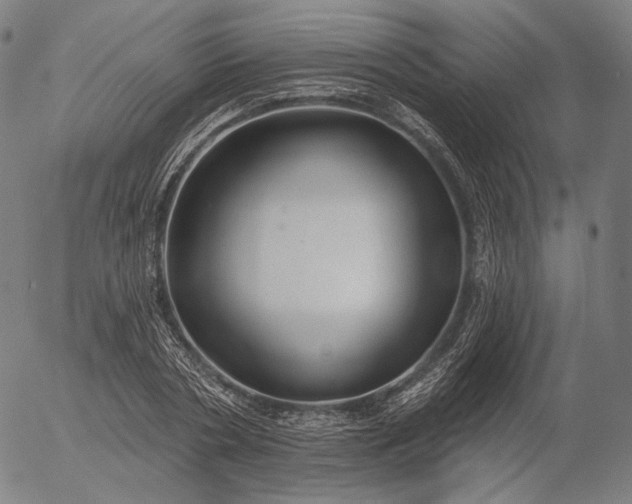 X0000055990786200509021637