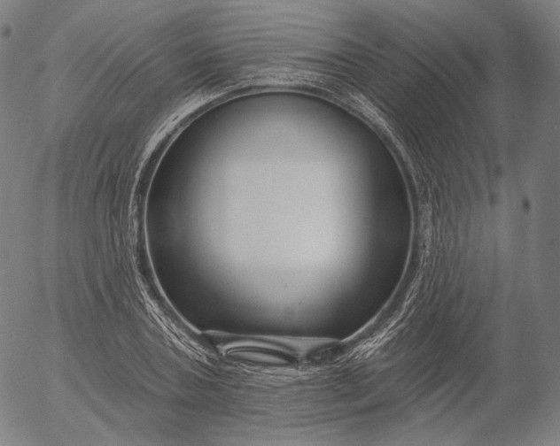 X0000055990787200509021637