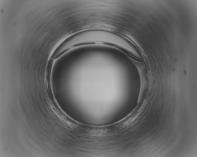 X0000055990788200509021637