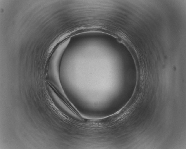 X0000055990789200509021637