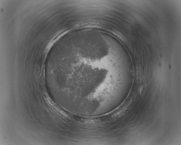 X0000055990790200509021637