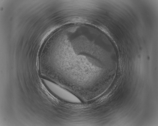 X0000055990791200509021637