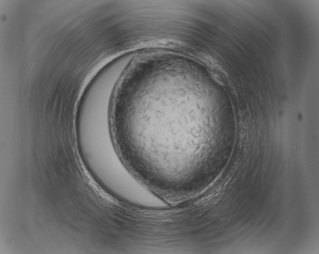 X0000055990792200509021637