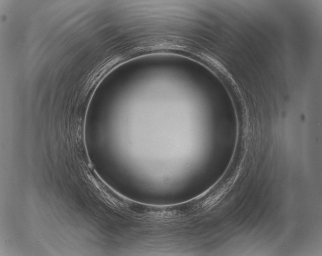 X0000055990793200509021637