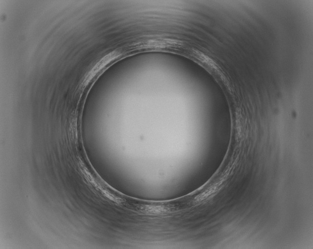 X0000055990794200509021637