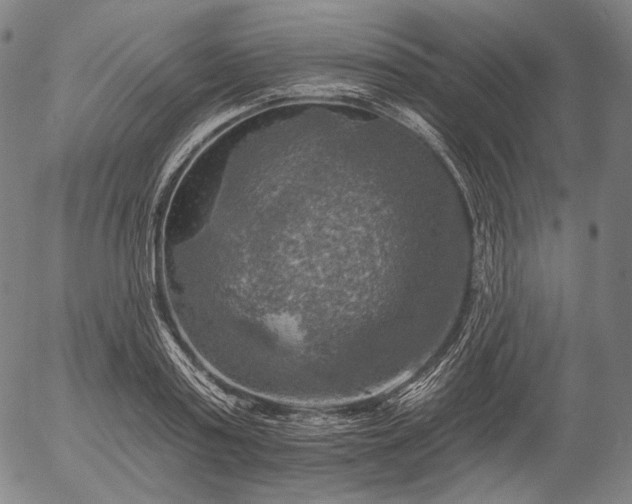 X0000055990795200509021637