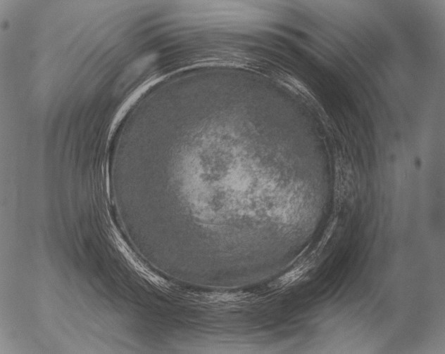 X0000055990796200509021637