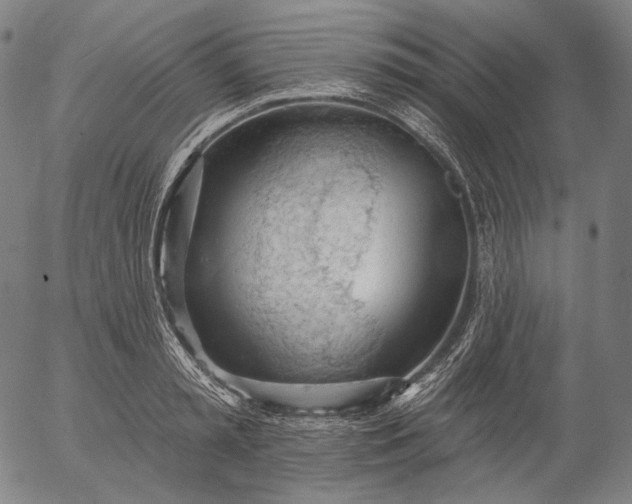 X0000055990797200509021637