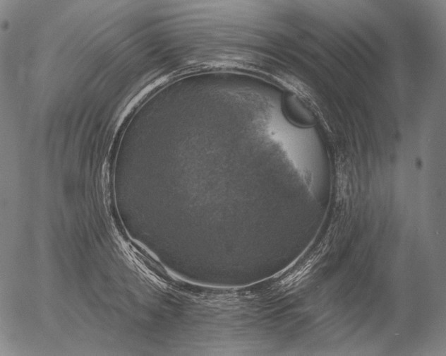 X0000055990798200509021637