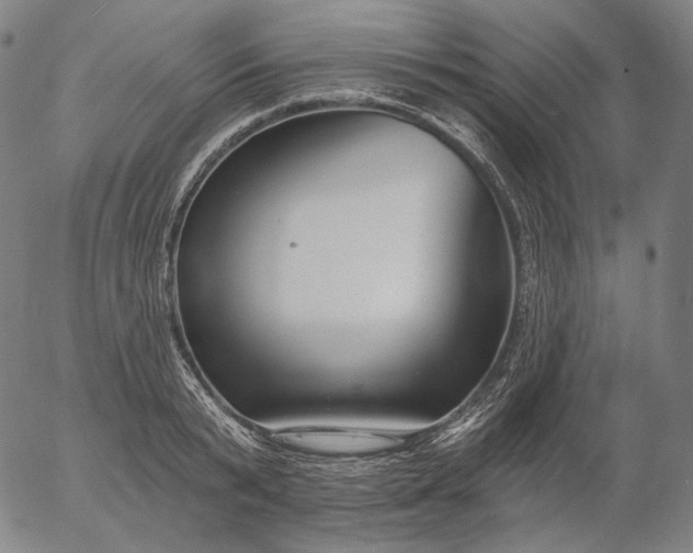 X0000055990799200509021637