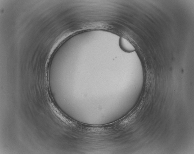 X0000055990800200509021637