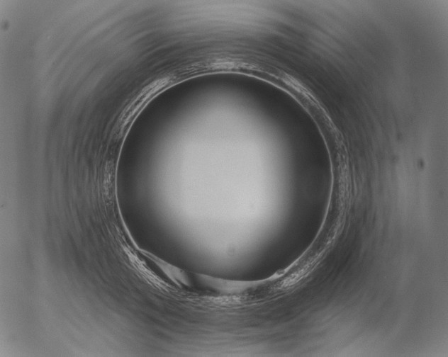 X0000055990801200509021637