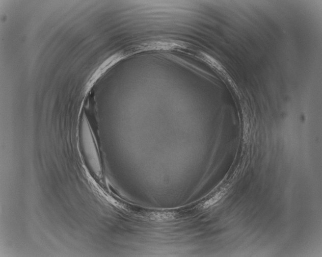 X0000055990802200509021637