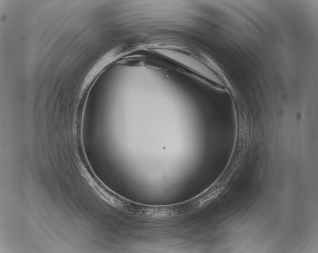 X0000055990803200509021637