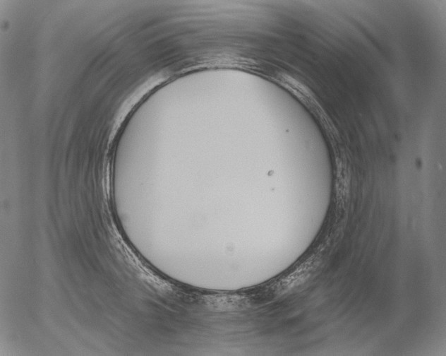 X0000055990804200509021637