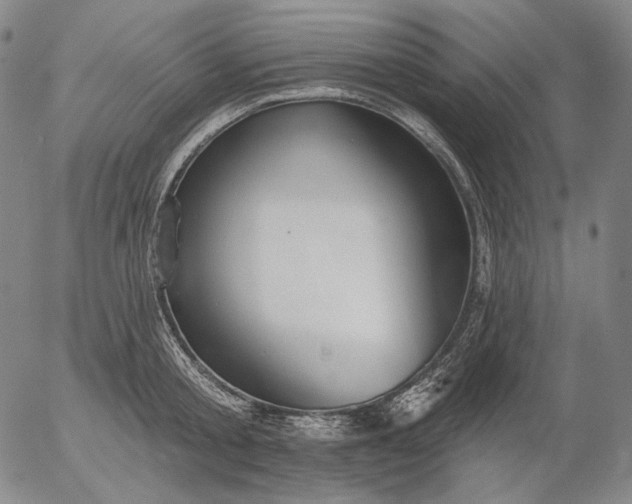 X0000055990805200509021637