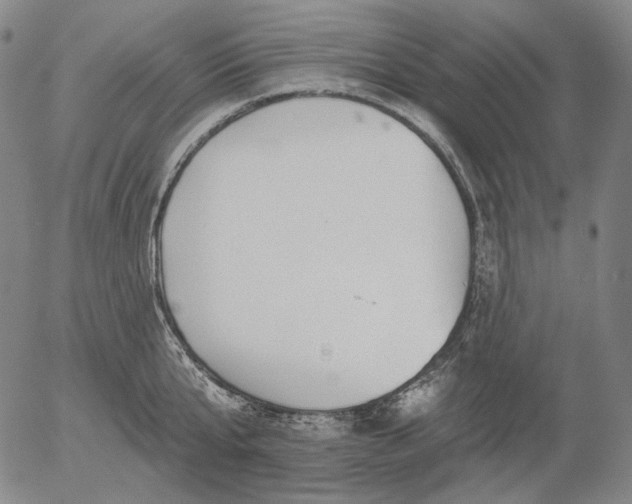 X0000055990807200509021637