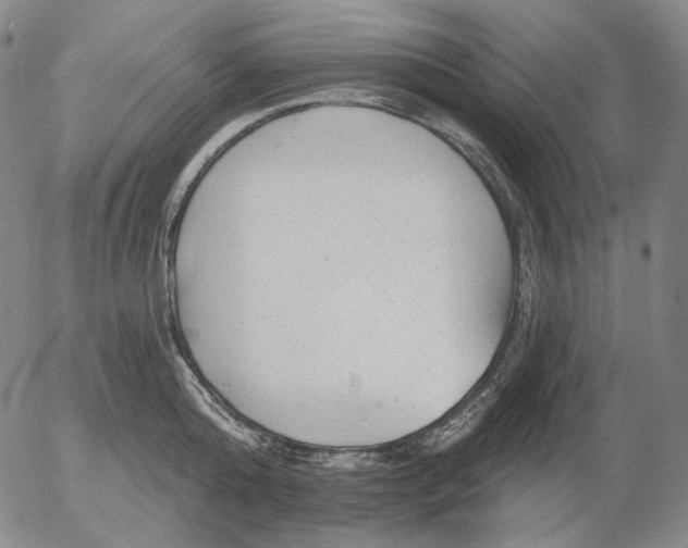 X0000055990808200509021637