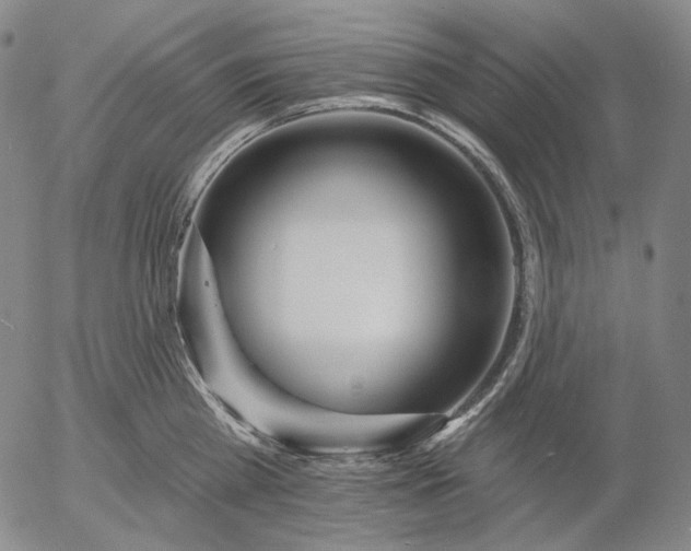 X0000055990809200509021637