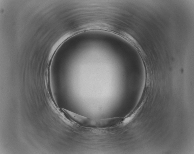 X0000055990812200509021637