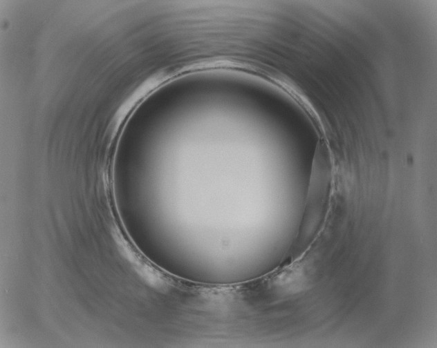 X0000055990813200509021637